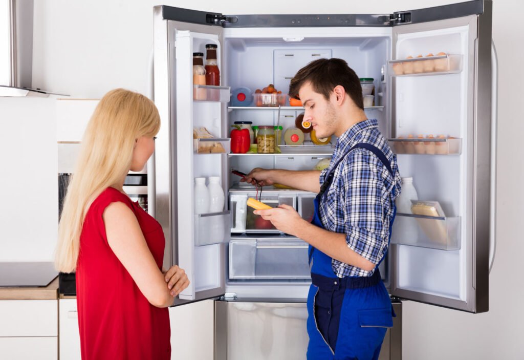 Fridge Repair